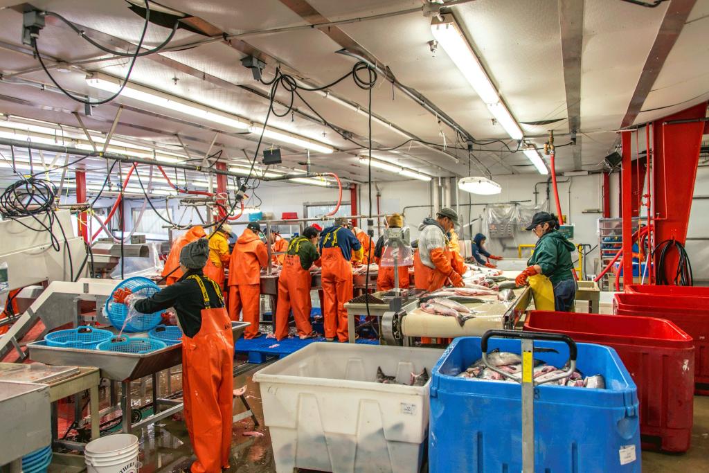 Jobs - Alaska Seafood Processors